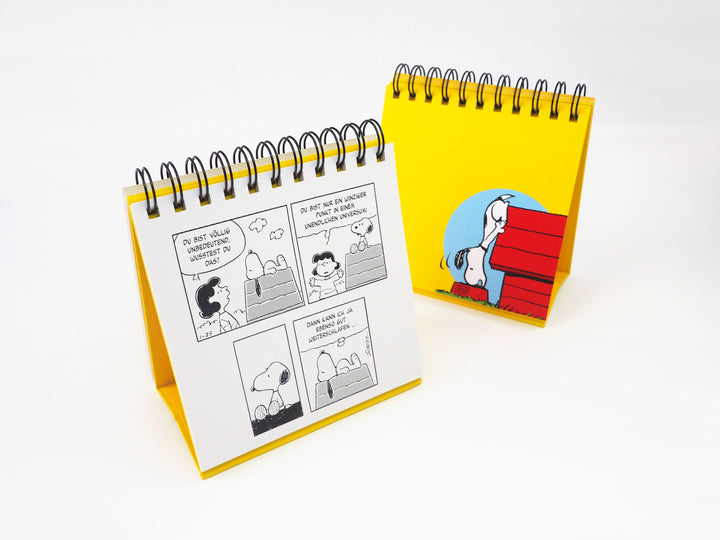 "Immer nach oben schauen ... das ist das Geheimnis des Lebens". Mit Snoopy g...