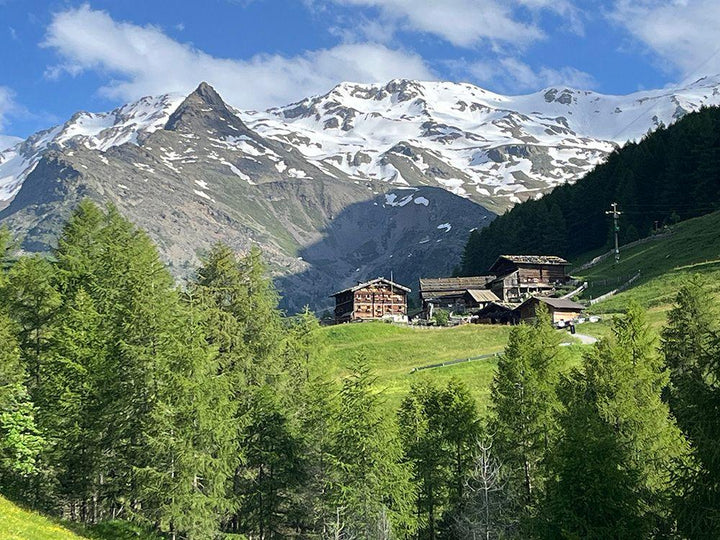 Der Alpen-Appell | Bayerle, Georg