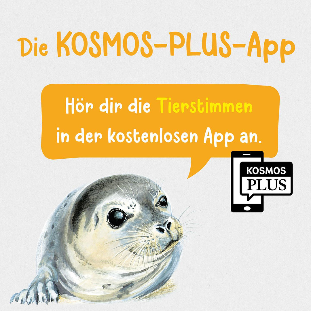 Was lebt an Strand und Küste? Kindernaturführer | Haag, Holger