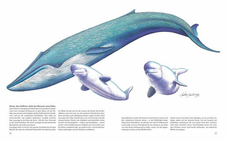 Genial: Gouache | Declercq, Gilbert