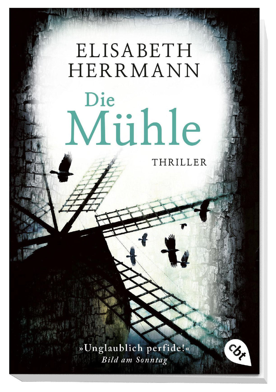 Die Mühle | Herrmann, Elisabeth