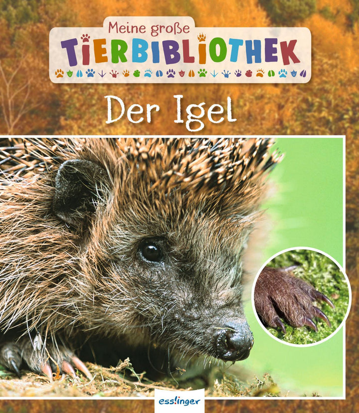 Meine große Tierbibliothek: Der Igel | Tracqui, Valérie
