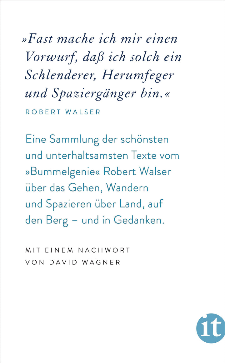 'Spazieren muß ich unbedingt' | Walser, Robert