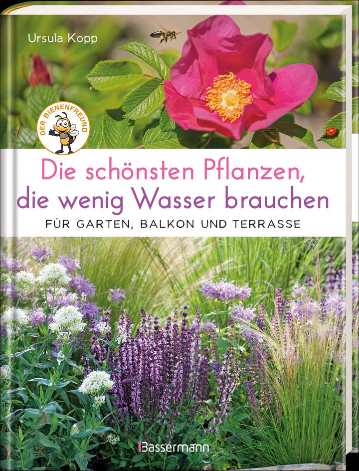 Die schönsten Pflanzen, die wenig Wasser brauchen für Garten, Balkon und Ter...