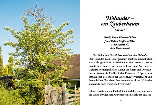 Das große kleine Buch: Holunderzeit | Klaushofer, Brigitta