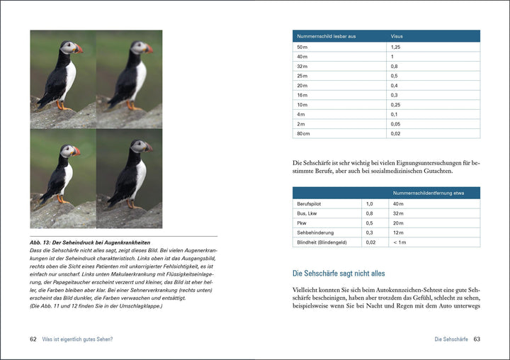 Das große Buch vom Auge | Wilhelm, Helmut