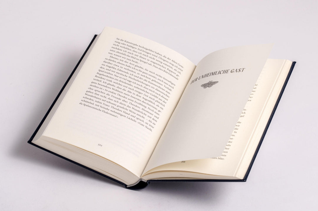 Der Sandmann. Schauererzählungen. In Cabra-Leder gebunden. Mit Silberprägung...