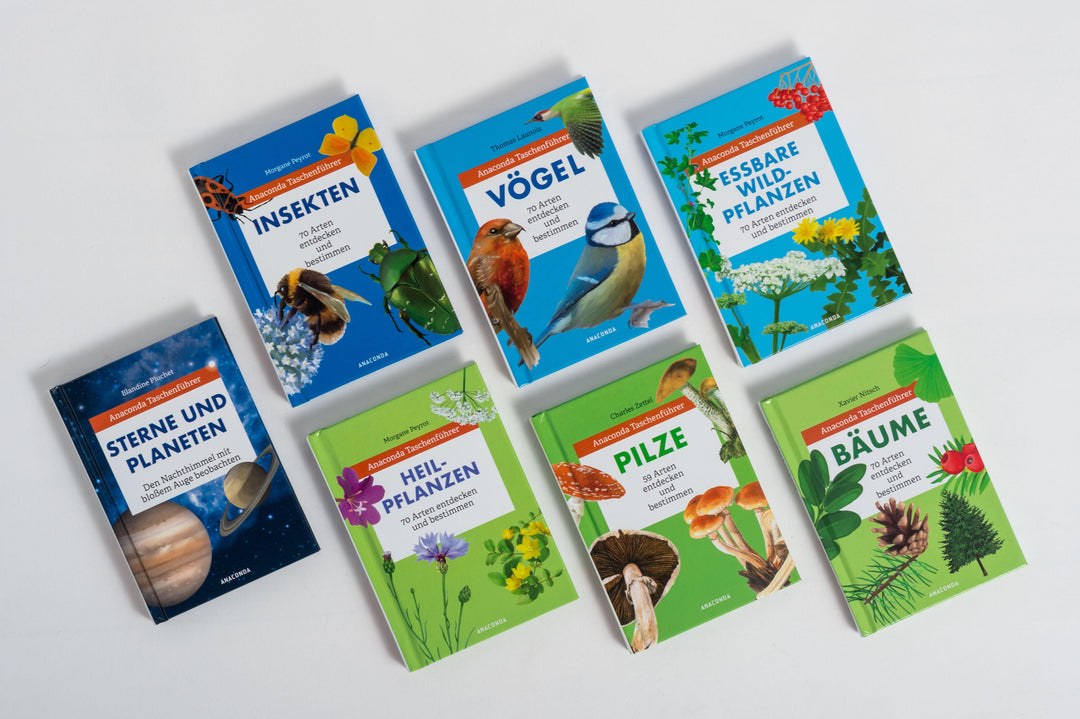 Anaconda Taschenführer Heilpflanzen. 70 Arten entdecken und bestimmen | Peyr...