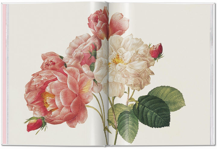 Redouté. Roses | Lack, H. Walter