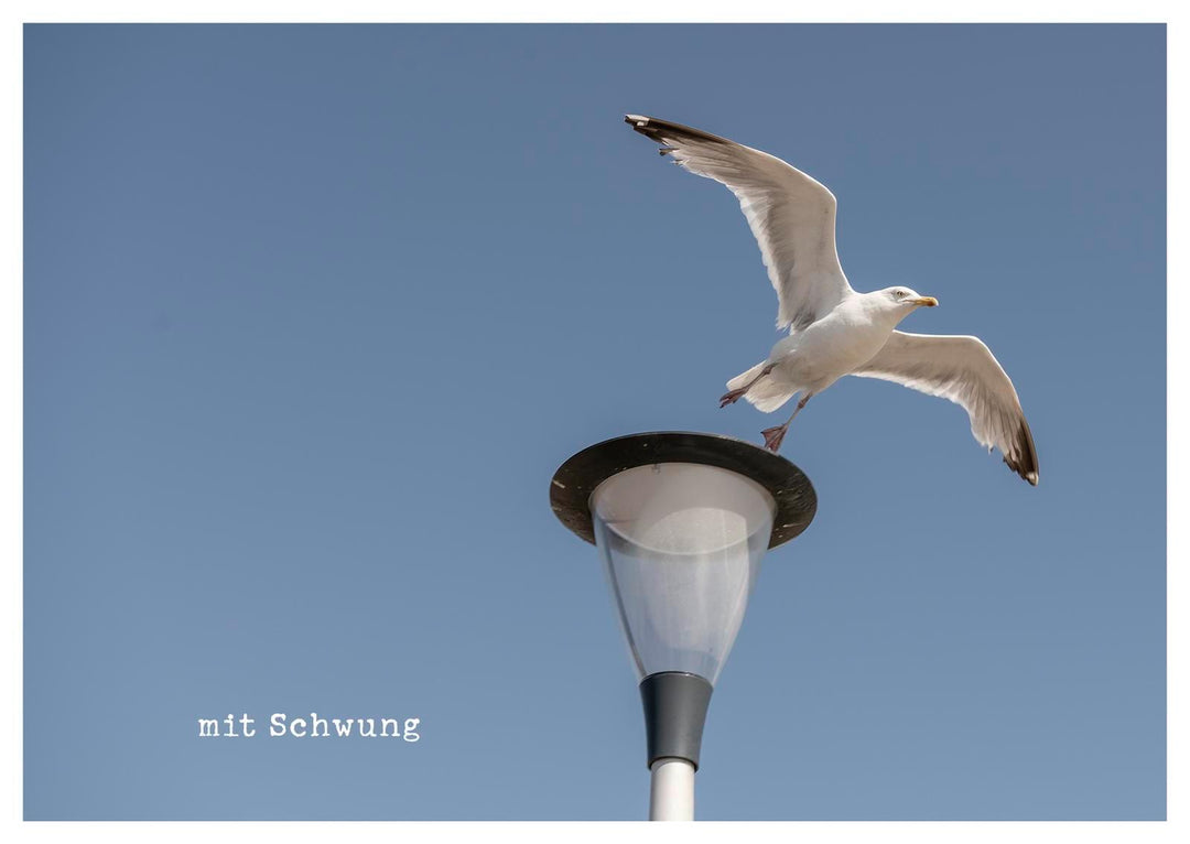 kleine Geste - Postkartenbuch | Brall, Stephanie