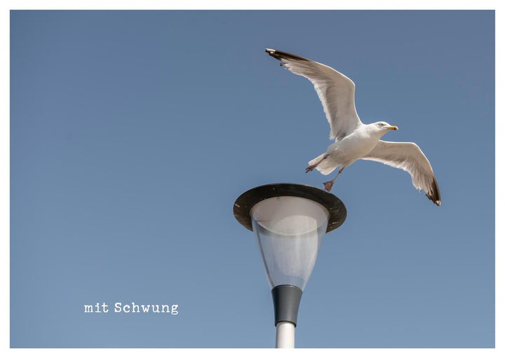 kleine Geste - Postkartenbuch | Brall, Stephanie