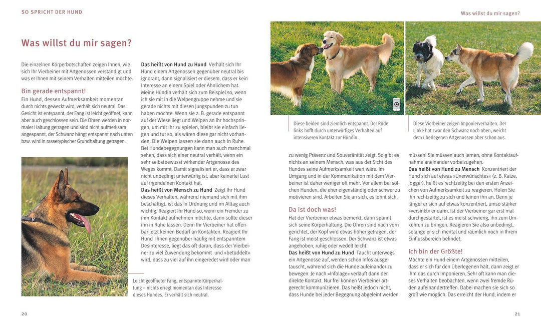 Hundesprache | Schlegl-Kofler, Katharina