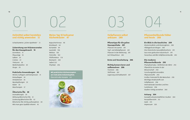 10 Kräuter gegen 100 Krankheiten | Rubin, Franziska | Strigin, Gudrun