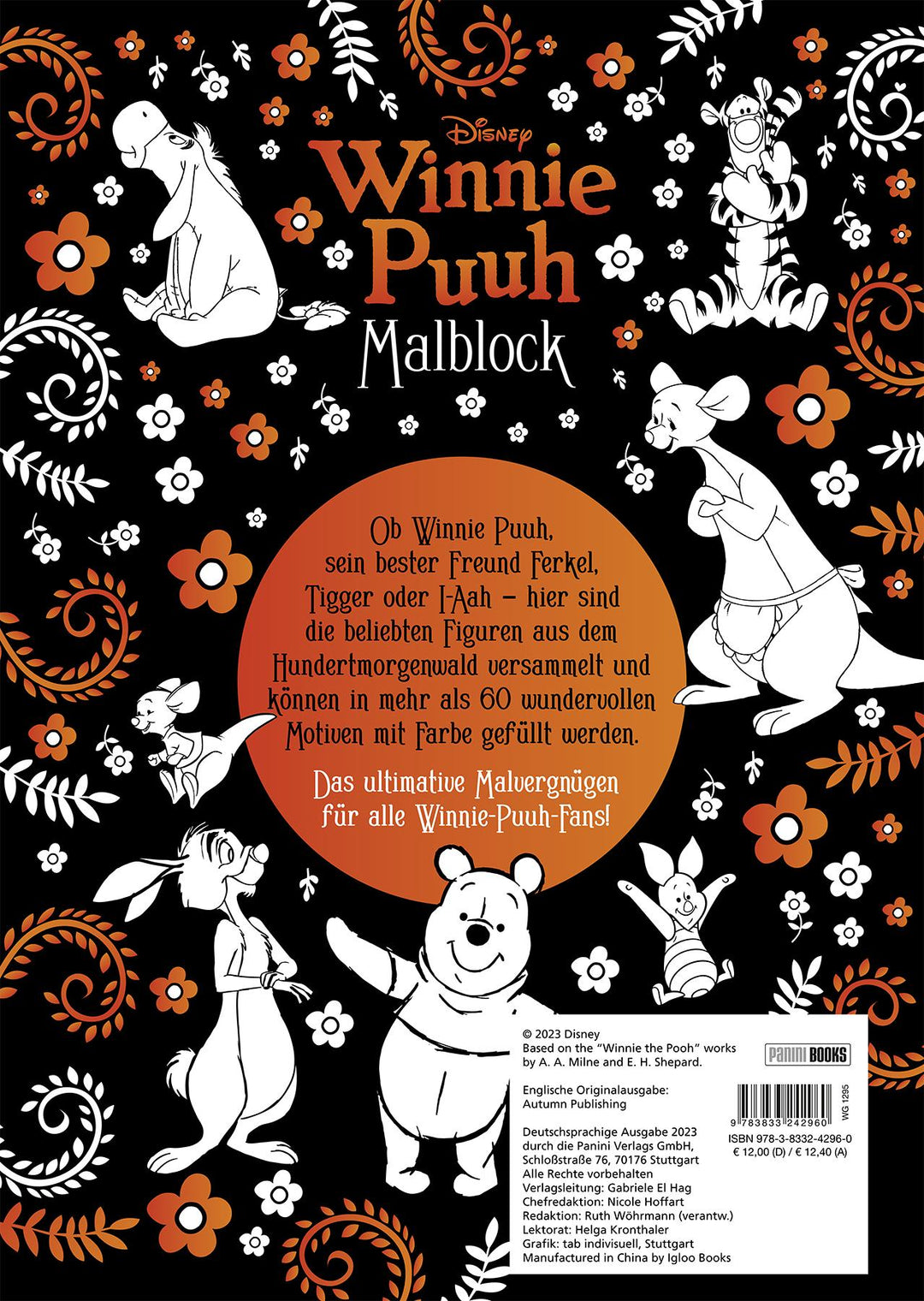 Disney Winnie Puuh: Malblock | -
