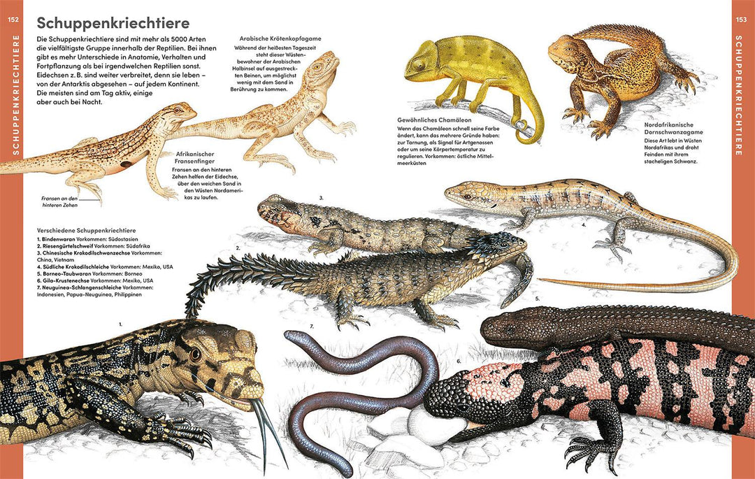 Der große Kosmos Tieratlas | -