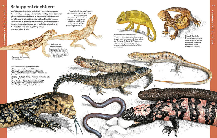 Der große Kosmos Tieratlas | -