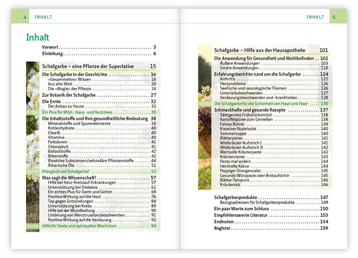 Die Schafgarbe - Alleskönnerin unter den Heilpflanzen | Simonsohn, Barbara