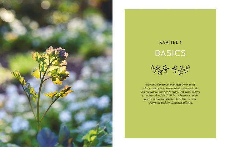 Und es wächst doch! | Matschiess, Torsten | Hofmann, Till