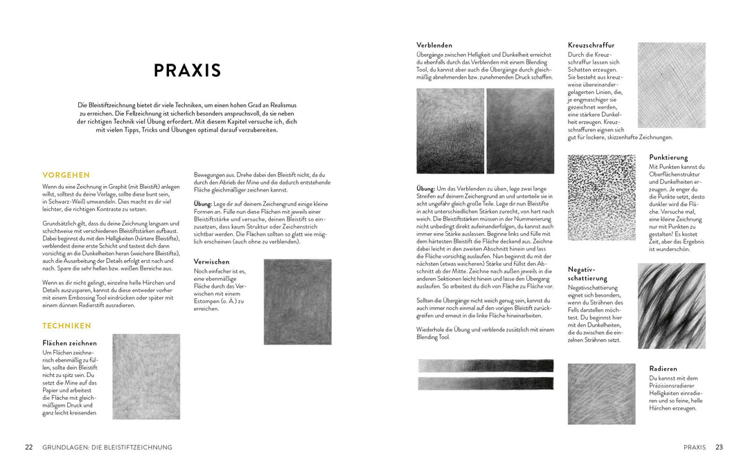 Zeichnen - Das große Buch der Tierporträts | Boehmer-Hoops, Susanne