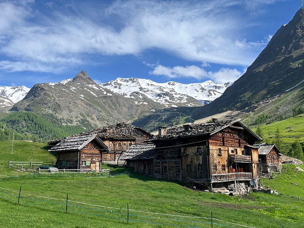 Der Alpen-Appell | Bayerle, Georg