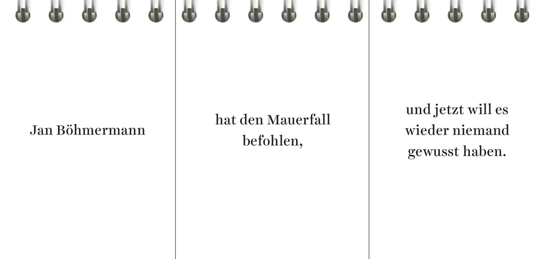 Der Desinformator | Wittkamp, Peter | Frey, Pia