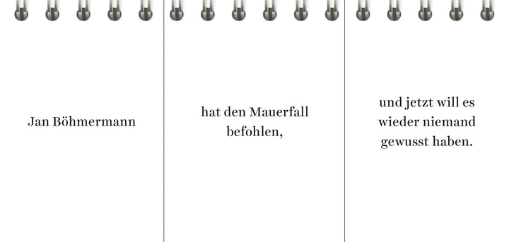 Der Desinformator | Wittkamp, Peter | Frey, Pia