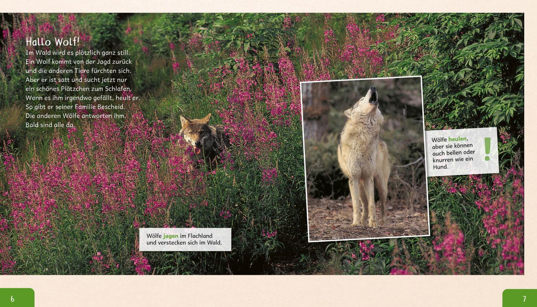 Meine große Tierbibliothek: Der Wolf | Havard, Christian