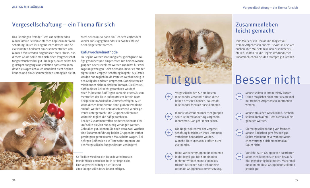 Mäuse | Beißwenger, Alexandra