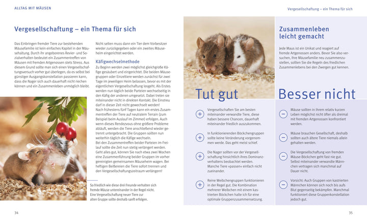 Mäuse | Beißwenger, Alexandra