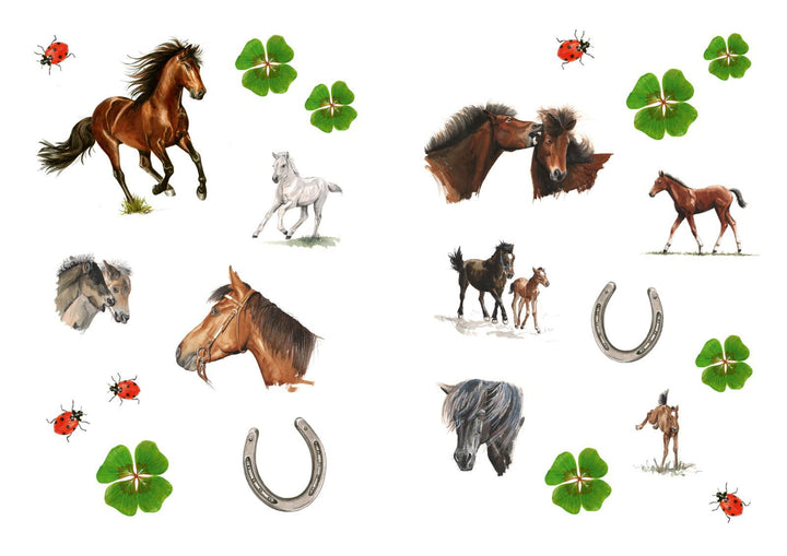 Charlottes Traumpferd 1: Charlottes Traumpferd | Neuhaus, Nele