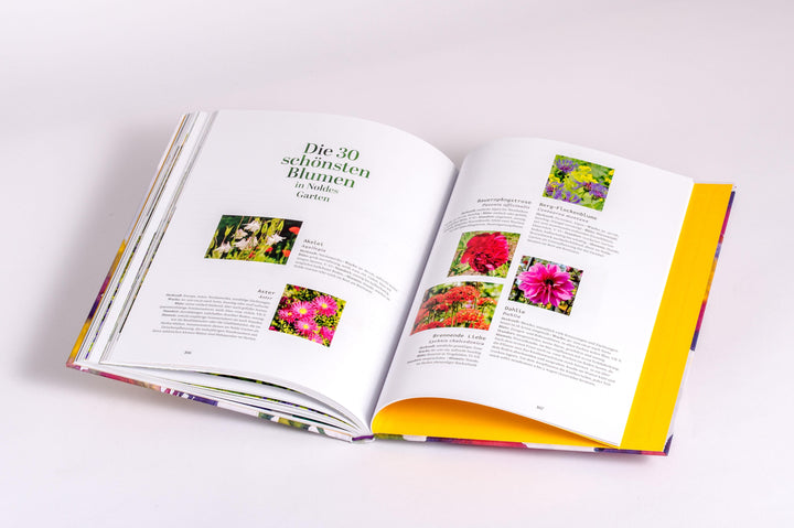 Der Garten von Emil Nolde | Moeller, Magdalena