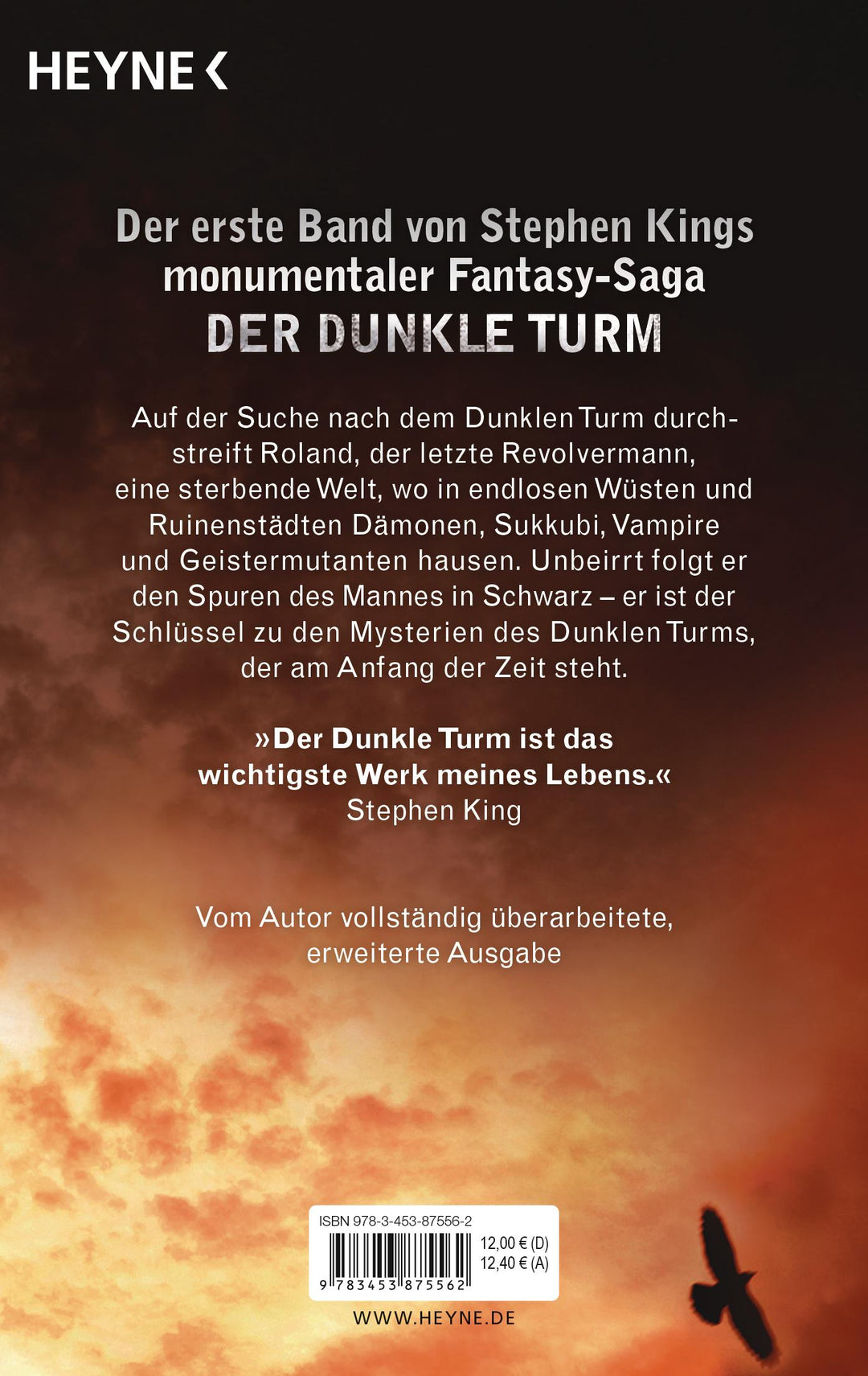 Der dunkle Turm 1. Schwarz | King, Stephen