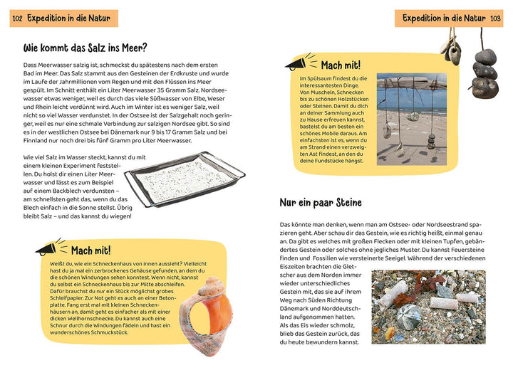 Was lebt an Strand und Küste? Kindernaturführer | Haag, Holger