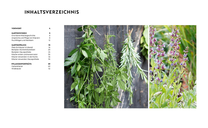 Gartenmomente: Kräuter im Garten | -