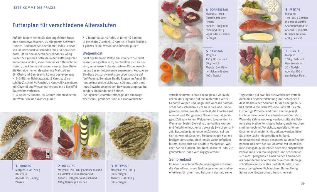 BARF für Hunde | Kohtz-Walkemeyer, Marianne