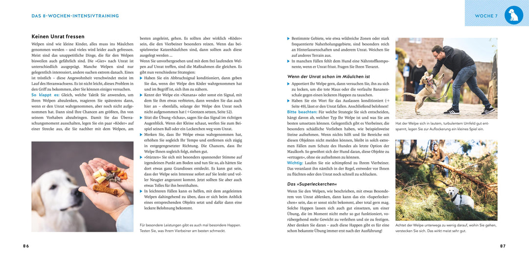 Welpen-Erziehung | Schlegl-Kofler, Katharina