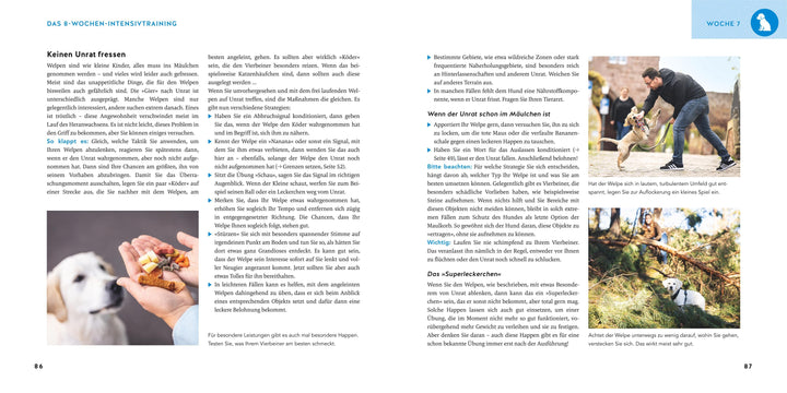 Welpen-Erziehung | Schlegl-Kofler, Katharina