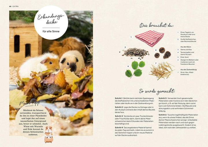 Meerschweinchen | Schillinger, Viola