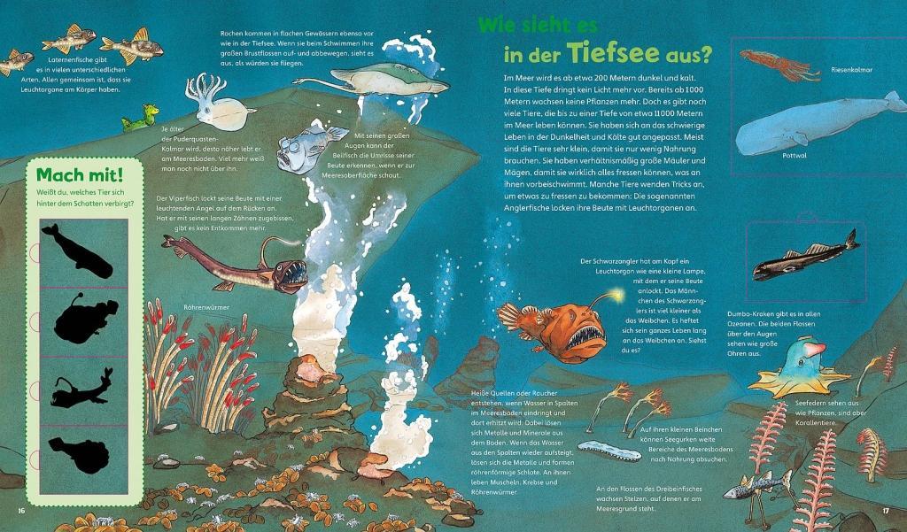 WAS IST WAS Junior Band 17. Das Meer | Braun, Christina | Schuck, Sabine