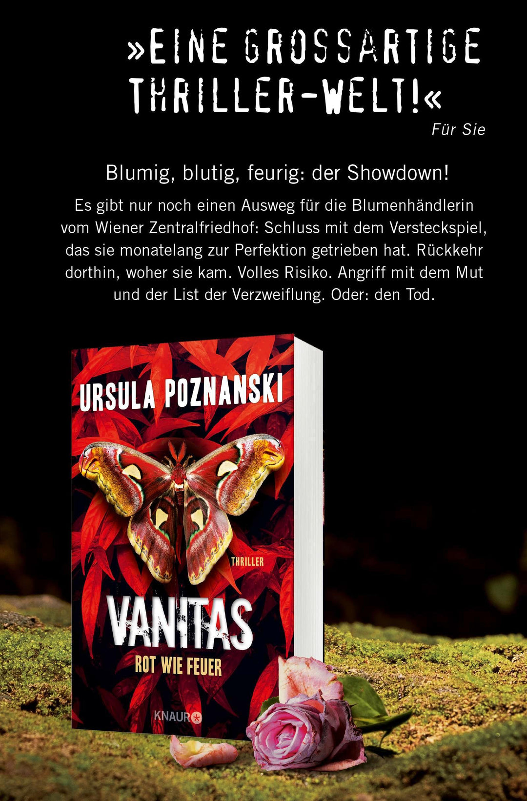 VANITAS - Grau wie Asche | Poznanski, Ursula