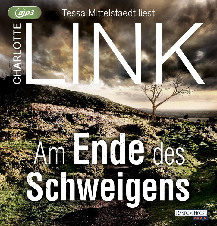 Am Ende des Schweigens | Link, Charlotte