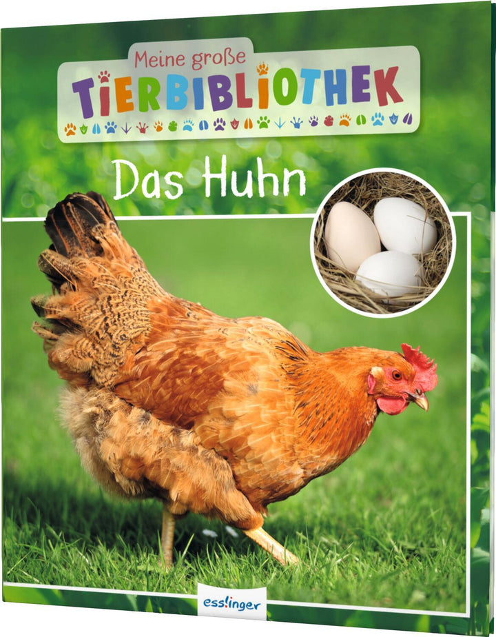 Meine große Tierbibliothek: Das Huhn | Havard, Christian | Tracqui, Valérie