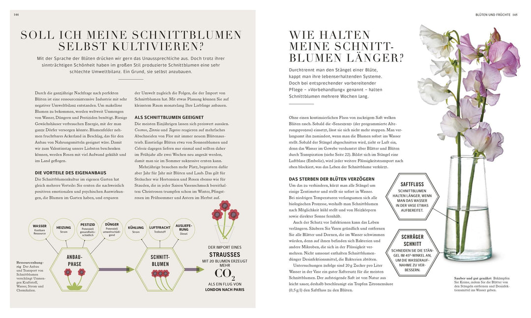 100 Fragen und Antworten zum Gärtnern | Farrimond, Stuart