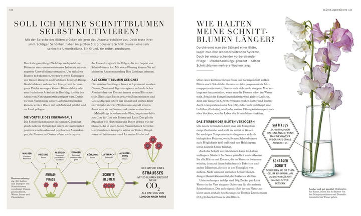 100 Fragen und Antworten zum Gärtnern | Farrimond, Stuart