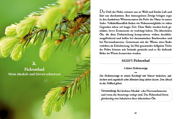 Das kleine Buch: Vergessene Hausmittel | Buchart, Karin