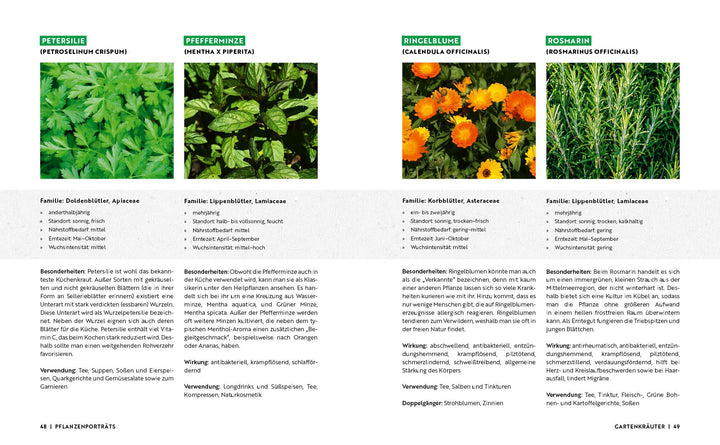 Gartenmomente: Kräuter im Garten | -