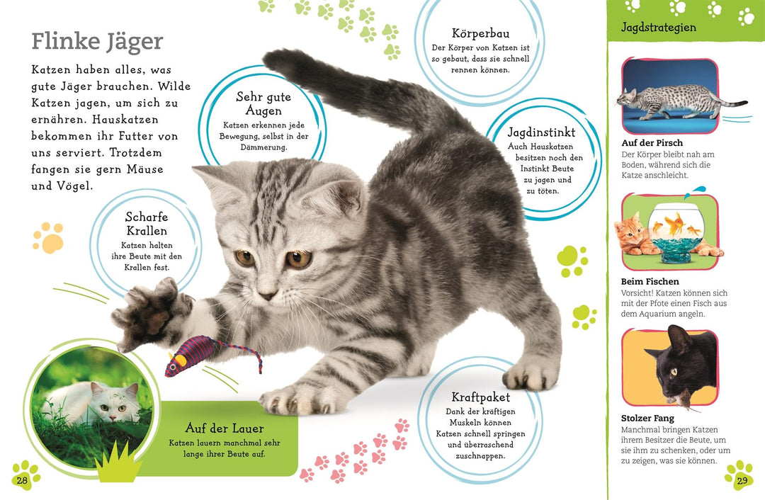 Alles über deine Katze | -