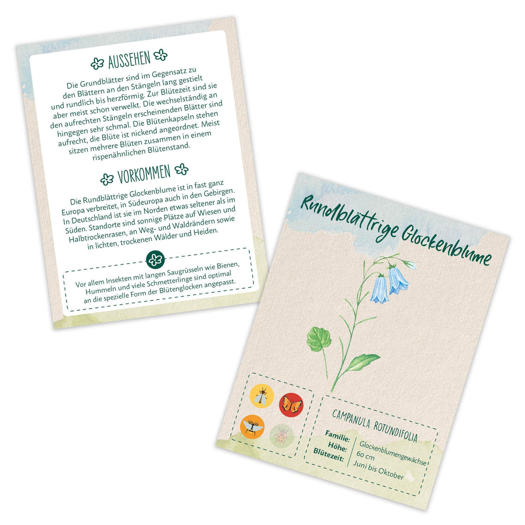 Lass es blühen - Wildblumen und Bienenblumen erkennen, inkl. Samentütchen | -