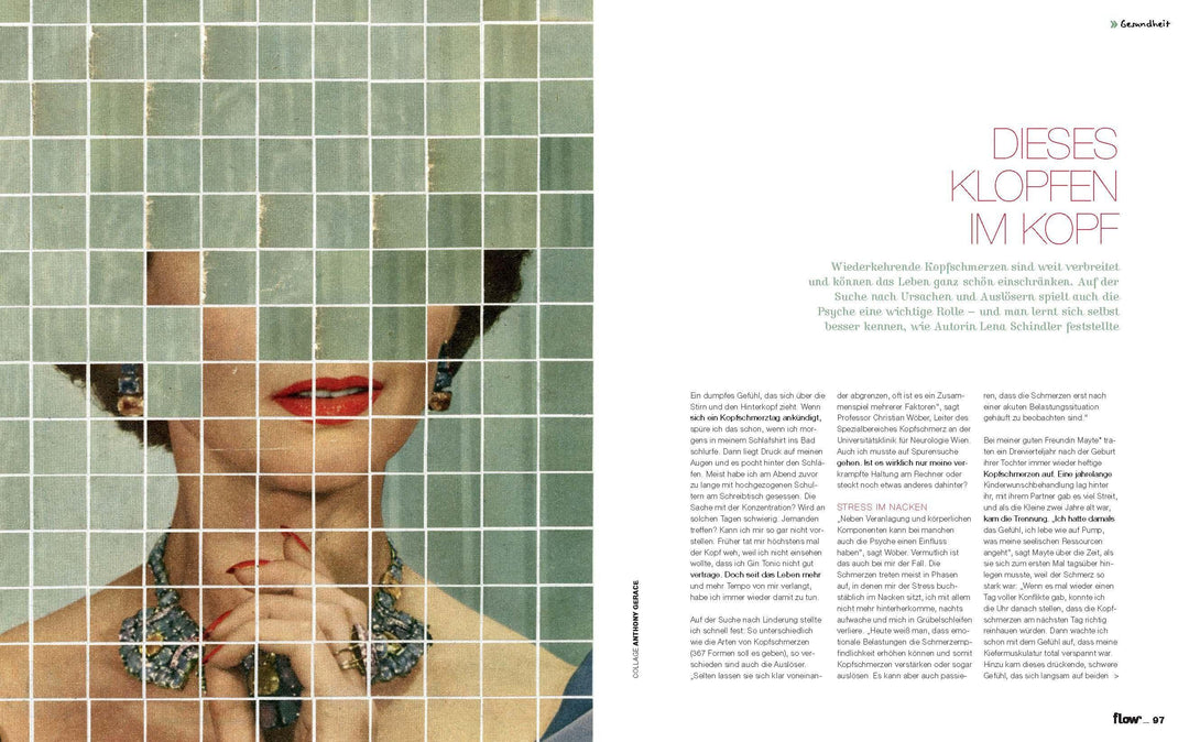 Flow Nummer 91 (5/2025) | -