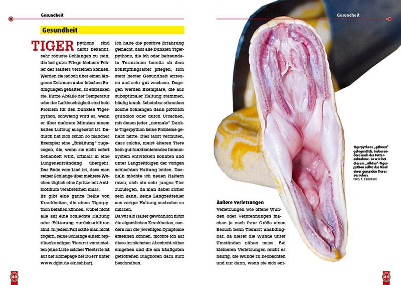 Der dunkle Tigerpython | Zeddelmann, Moritz von